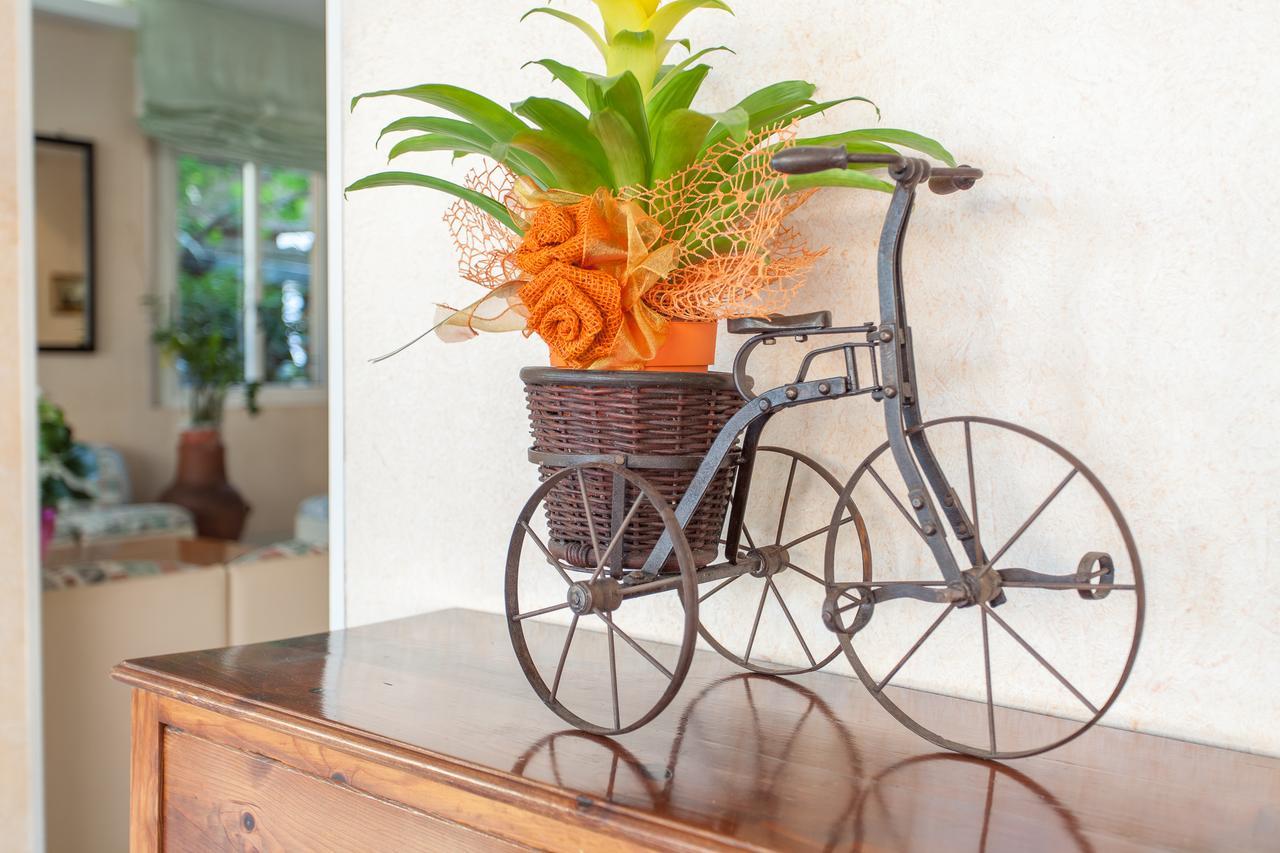 Hotel Benvenuti กัตเตโออามาเร ภายนอก รูปภาพ